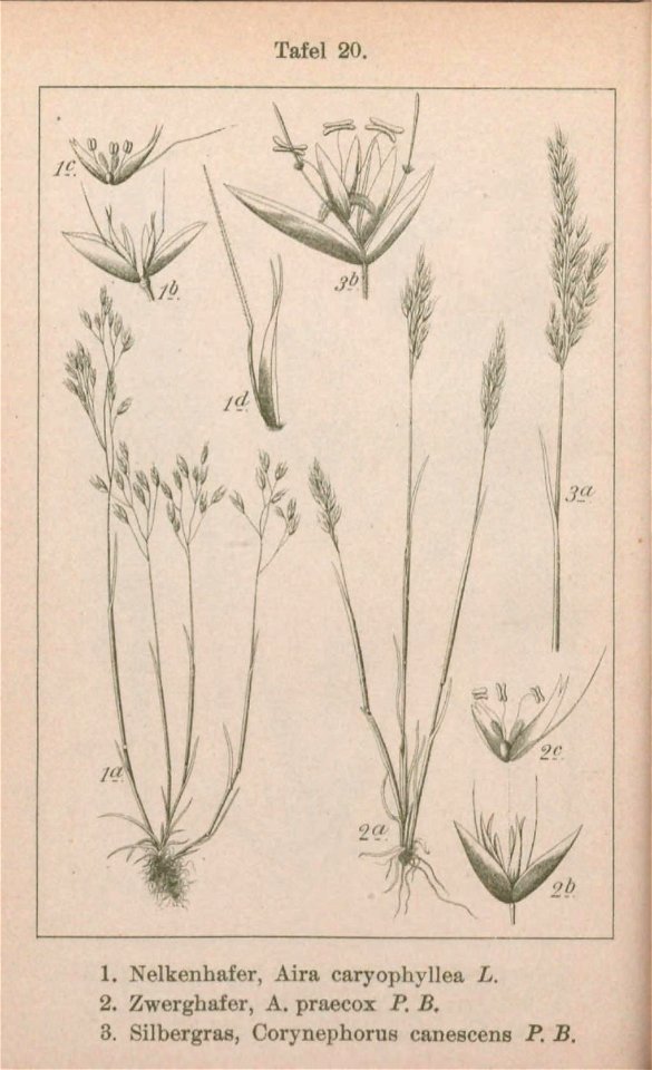 n195_w1150
