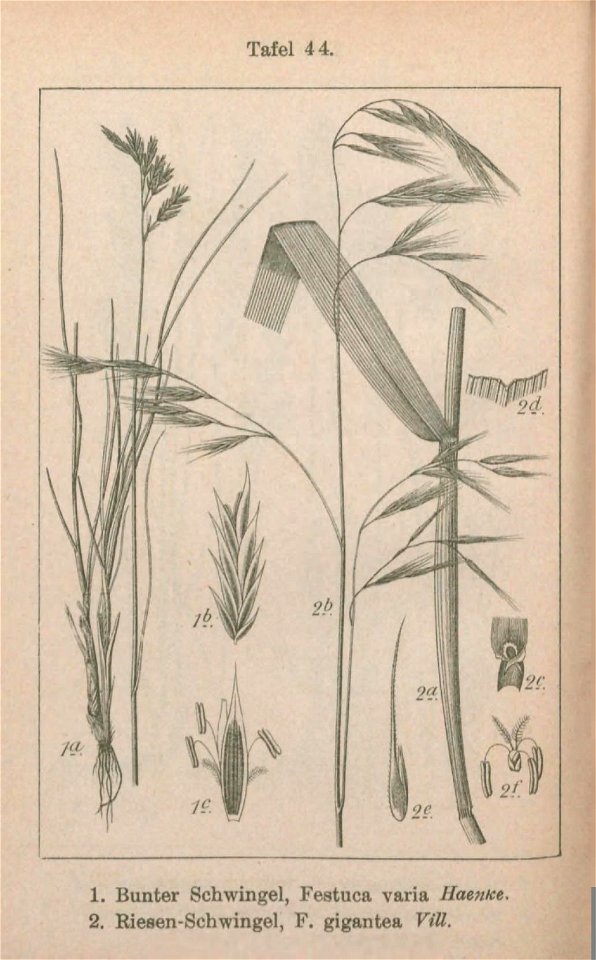 n219_w1150