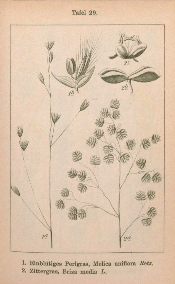 n204_w1150