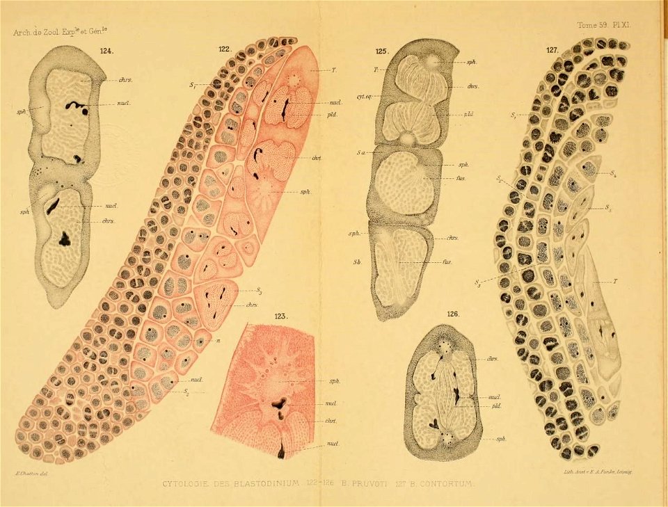 n46_w1150