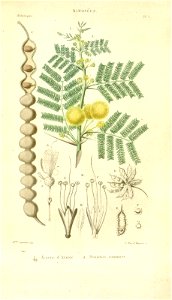 n69_w1150