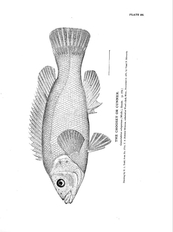 n203_w1150