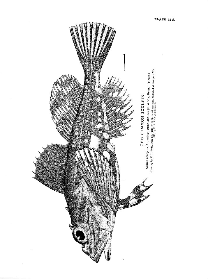 n173_w1150