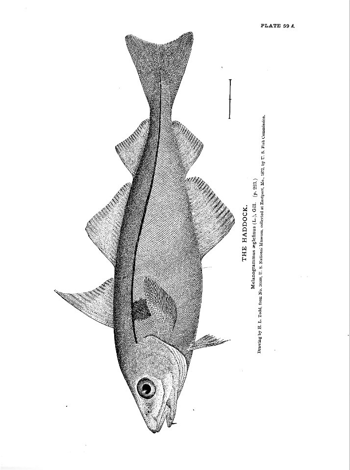 n143_w1150