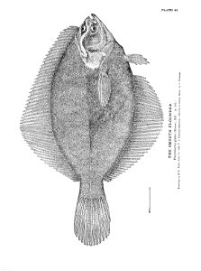 n113_w1150