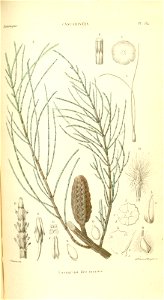 n202_w1150