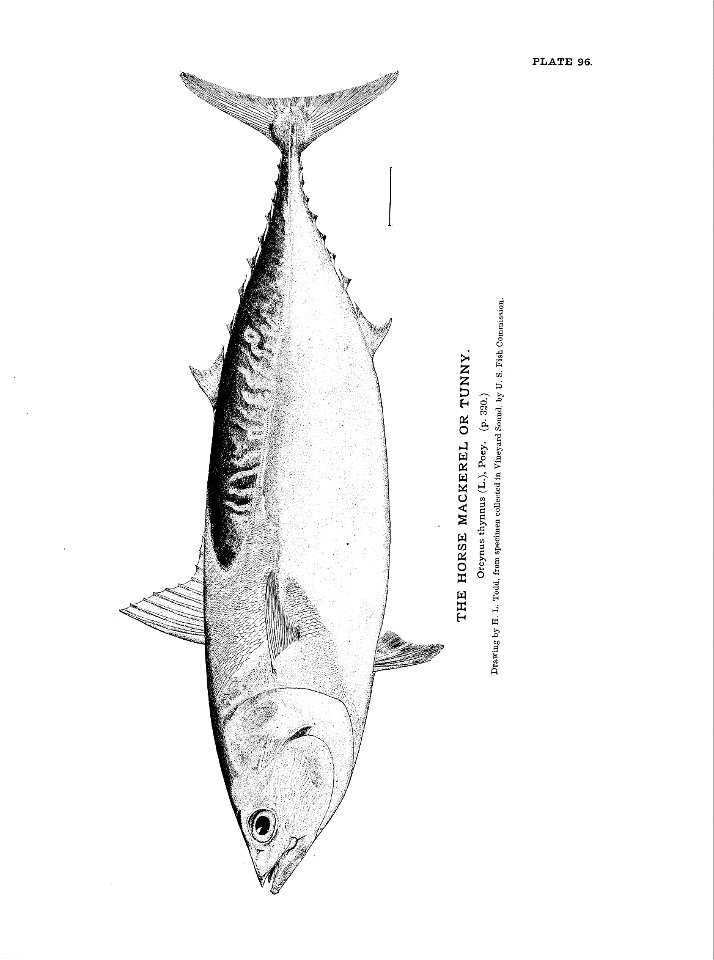 n225_w1150