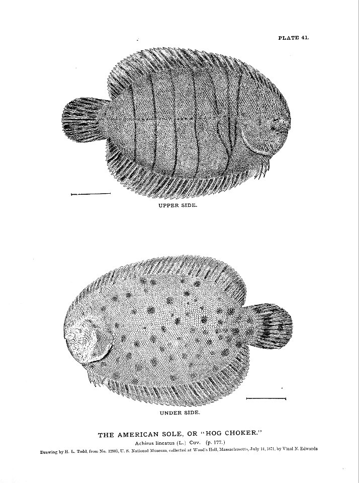 n105_w1150