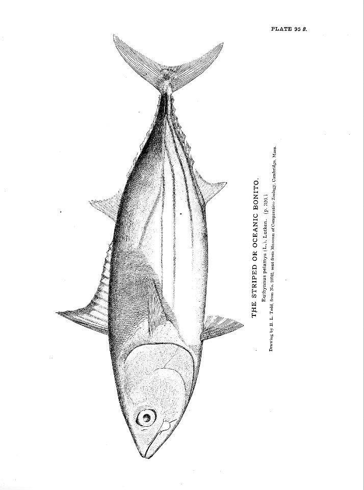 n223_w1150