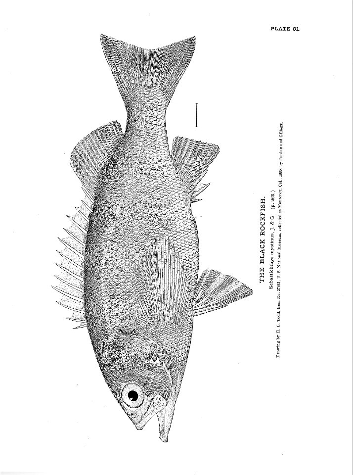 n193_w1150