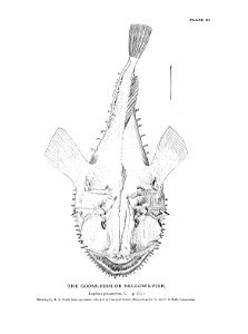 n103_w1150