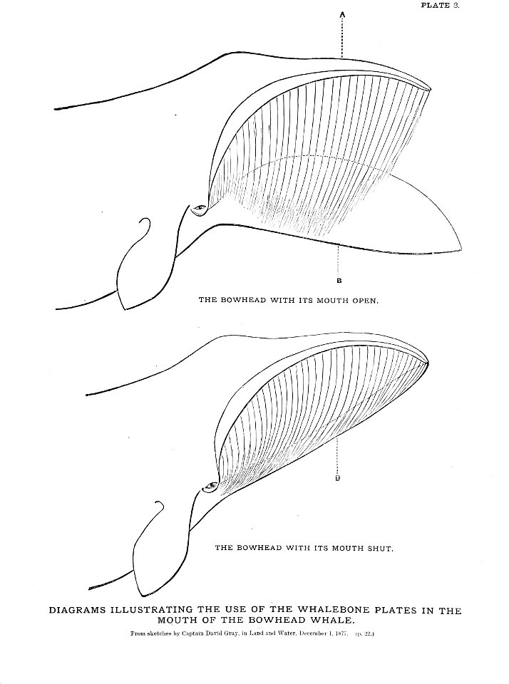 n40_w1150