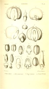 n196_w1150
