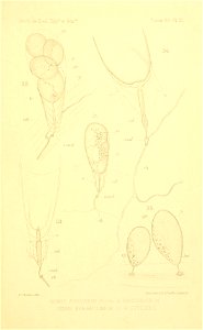 n14_w1150