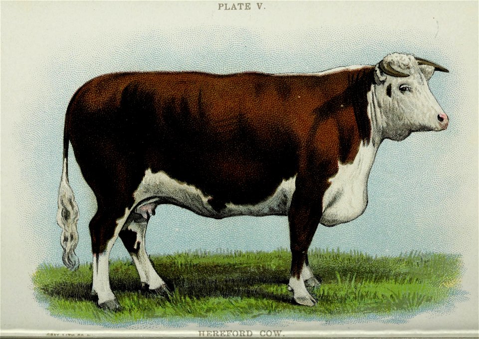 n95_w1150