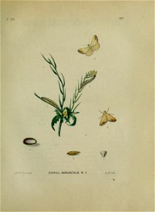 n158_w1150