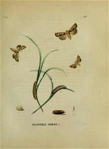 n152_w1150