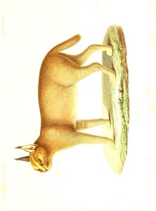 n190_w1150