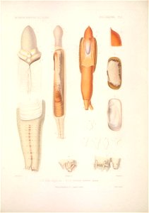 n204_w1150