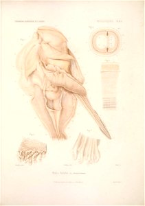 n190_w1150