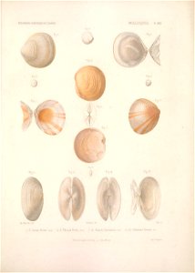 n368_w1150
