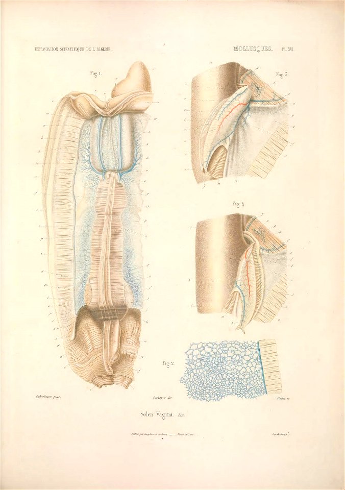 n216_w1150