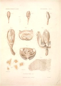 n174_w1150