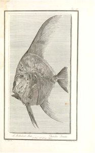 n12_w1150