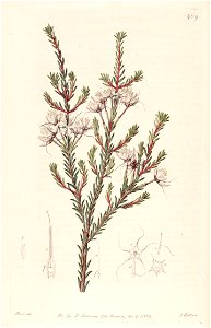 n181_w1150