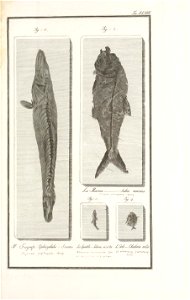 n122_w1150