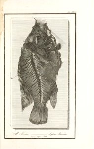 n116_w1150