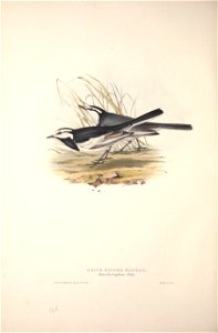 n379_w1150