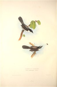 n303_w1150