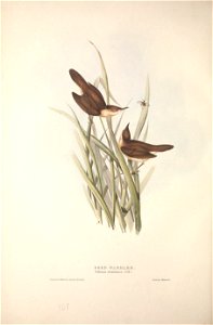 n243_w1150