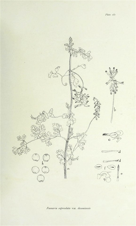 n374_w1150