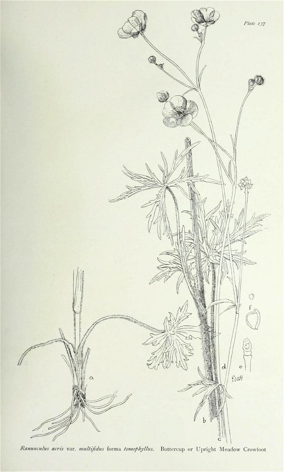 n284_w1150