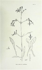 n164_w1150