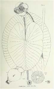 n194_w1150