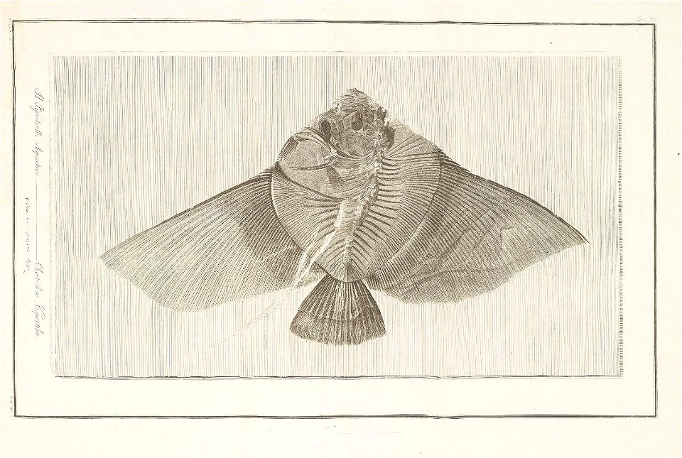 n18_w1150
