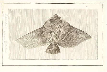 n18_w1150