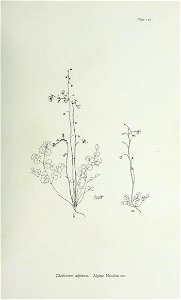 n244_w1150