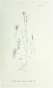 n184_w1150