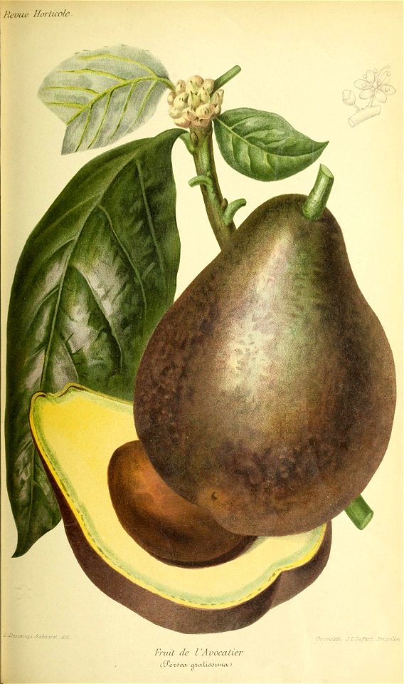 n588_w1150