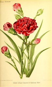 n566_w1150
