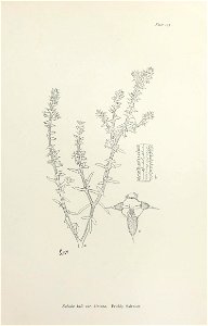 n396_w1150