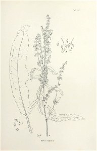 n306_w1150