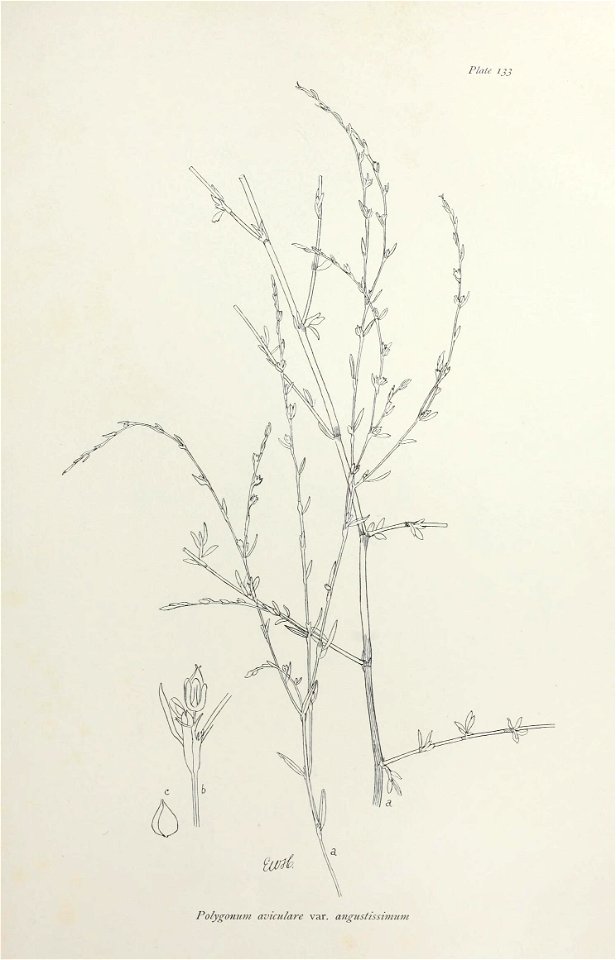 n276_w1150