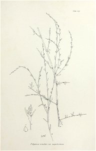 n276_w1150