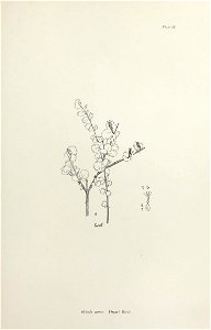 n186_w1150