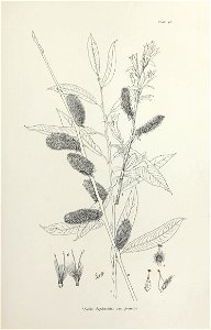 n126_w1150